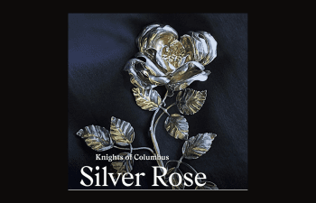 Silver Rose